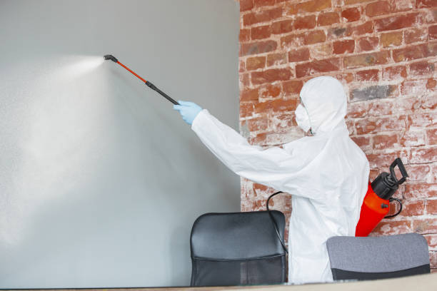 Asbestos and Lead Testing During Mold Inspection in Schertz, TX