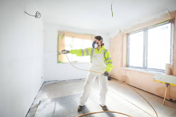 Best Mold Odor Removal Services  in Schertz, TX