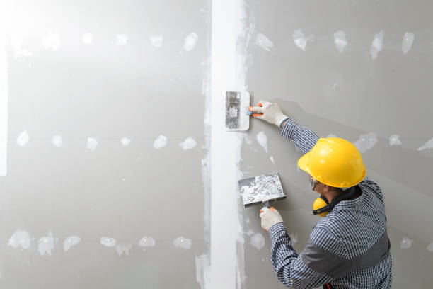 Best Airborne Mold Testing  in Schertz, TX