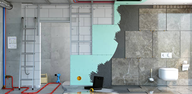 Best Residential Mold Inspection & Testing  in Schertz, TX