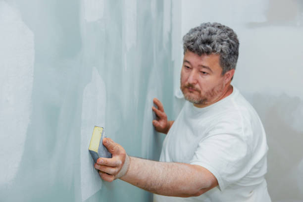 Best Biohazard Mold Removal  in Schertz, TX