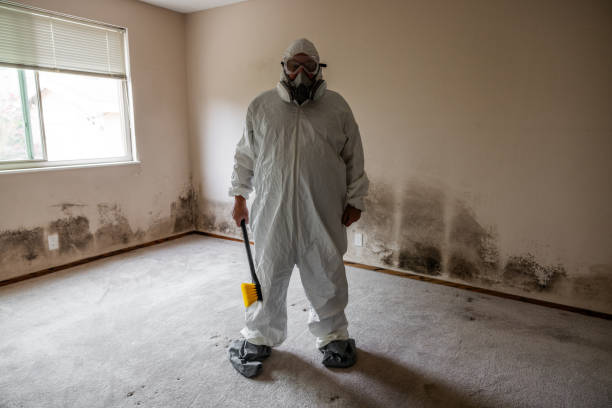 Mold Removal for HVAC Installations in Schertz, TX