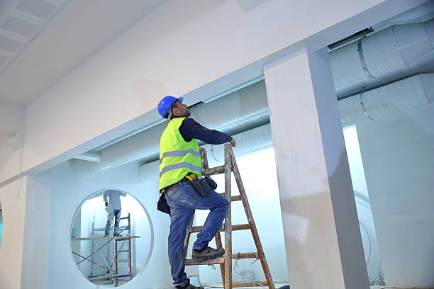 Best Mold Damage Restoration  in Schertz, TX